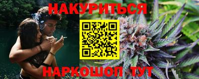 гидра Пенза