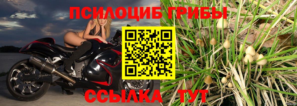 Россошь  Галлюциногенные грибы мухоморы  Вход с VPN  купить наркотик  Псилоцибиновые грибы мухоморы 