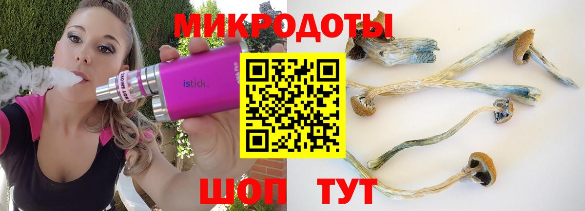Псилоцибиновые грибы GOLDEN TEACHER Россошь